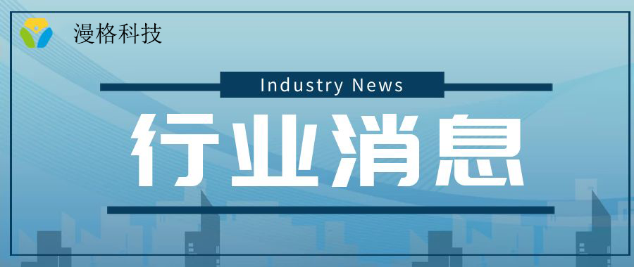 漫格搭子交友系统功能详解：高学历实名制社交平台的差异化优势与技术架构